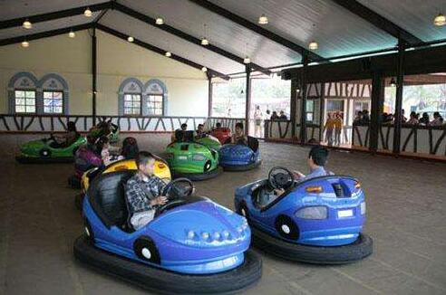 electric bumper cars